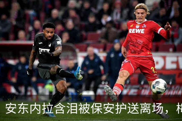 安东内拉含泪被保安护送离场，梅西世界杯决赛再碎