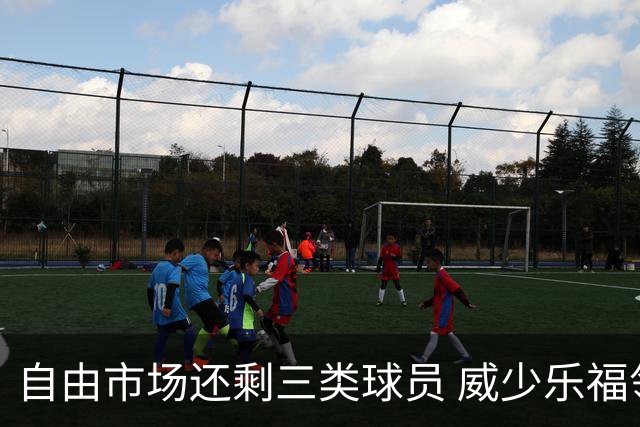自由市场还剩三类球员 威少乐福领衔失业大军？
