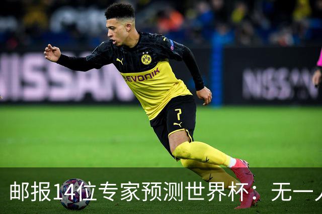 邮报14位专家预测世界杯：无一人看好英格兰队夺冠