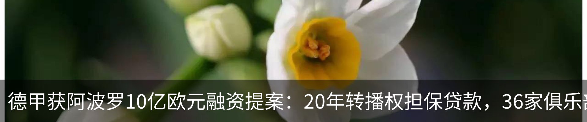 热点资讯